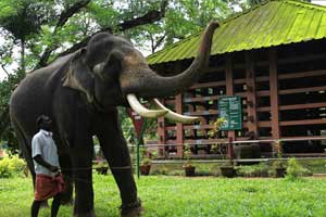 The Konni Elephant Training tourism Centre 